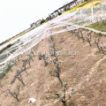 HDPE PP PE Nylon Vogelnetz für den Garten